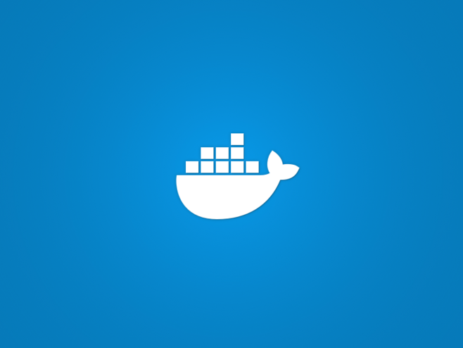 docker命令选项